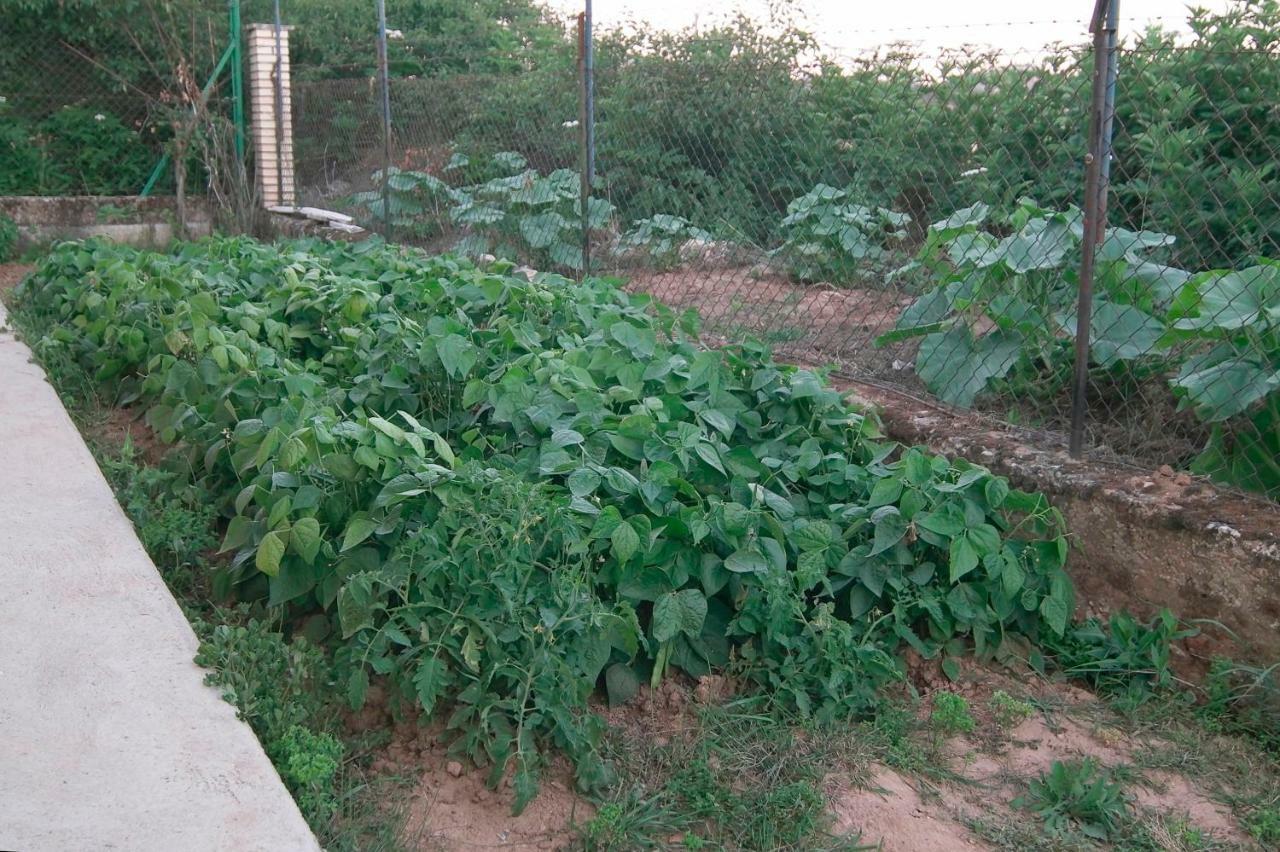Вилла El Jardin De Manuela Сантибаньес-дель-Валь Экстерьер фото