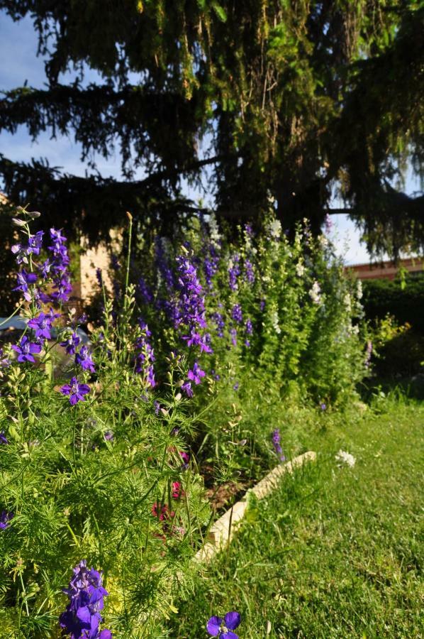 Вилла El Jardin De Manuela Сантибаньес-дель-Валь Экстерьер фото